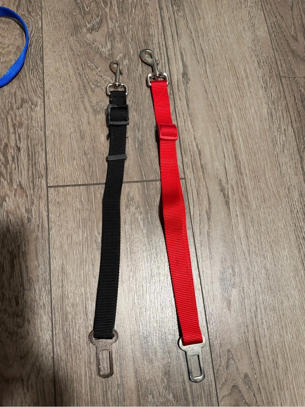 Lot of dog leashes